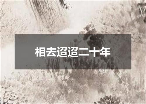 相去迢迢二十年