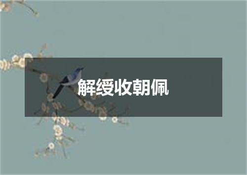 解绶收朝佩