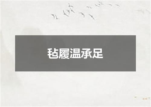 毡履温承足