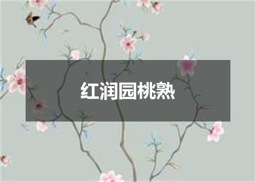 红润园桃熟