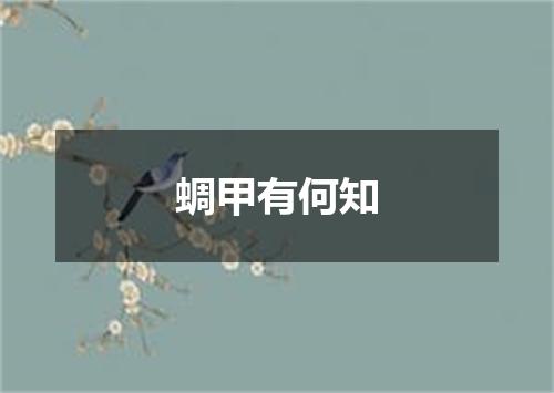蜩甲有何知