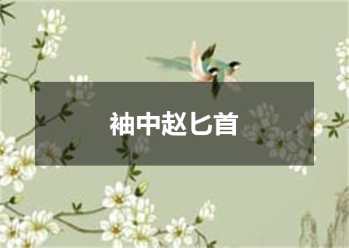 袖中赵匕首