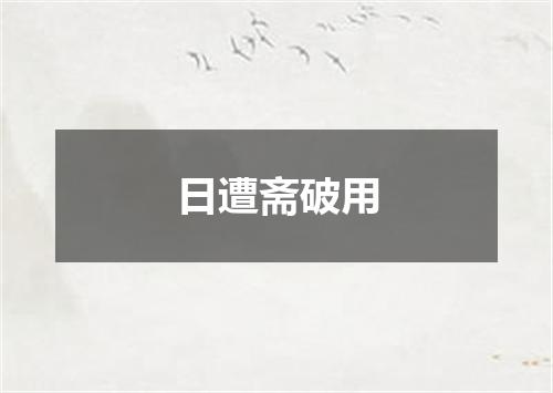 日遭斋破用