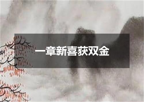 一章新喜获双金