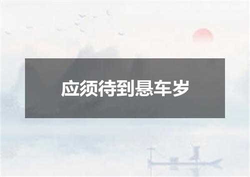 应须待到悬车岁