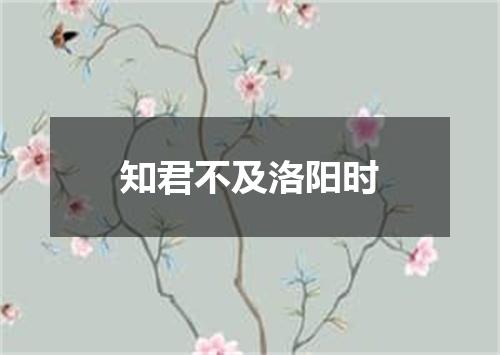 知君不及洛阳时