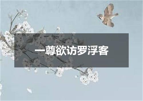 一尊欲访罗浮客