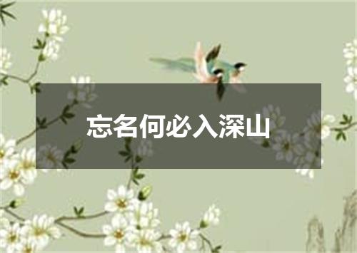 忘名何必入深山
