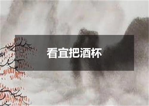 看宜把酒杯