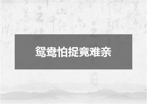 鸳鸯怕捉竟难亲