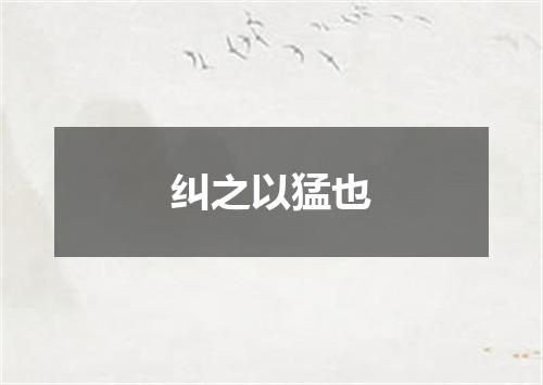 纠之以猛也