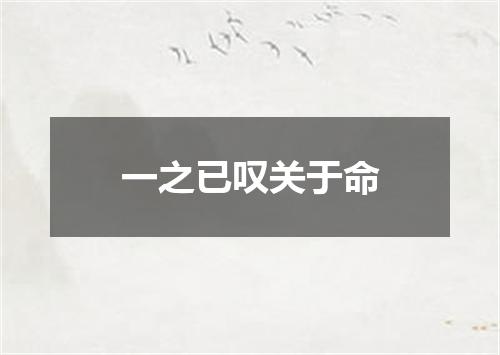 一之已叹关于命