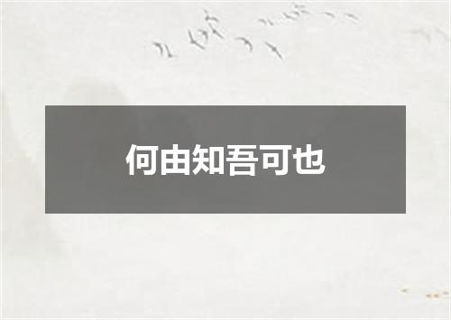 何由知吾可也