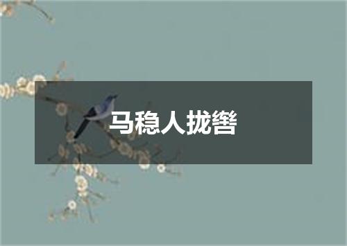 马稳人拢辔