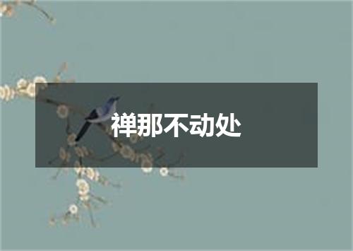 禅那不动处