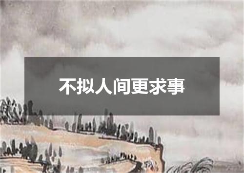 不拟人间更求事