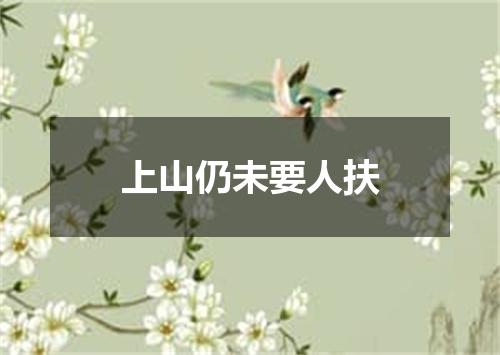 上山仍未要人扶
