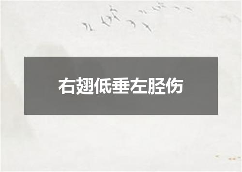 右翅低垂左胫伤