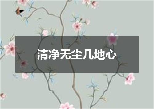 清净无尘几地心