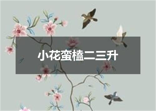 小花蛮榼二三升