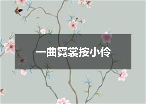 一曲霓裳按小伶