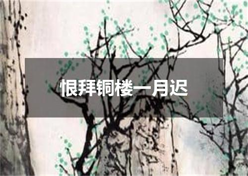 恨拜铜楼一月迟