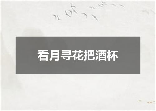 看月寻花把酒杯