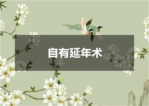 自有延年术