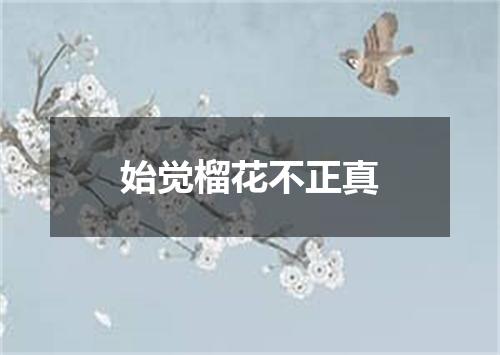 始觉榴花不正真