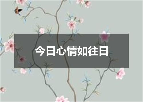 今日心情如往日