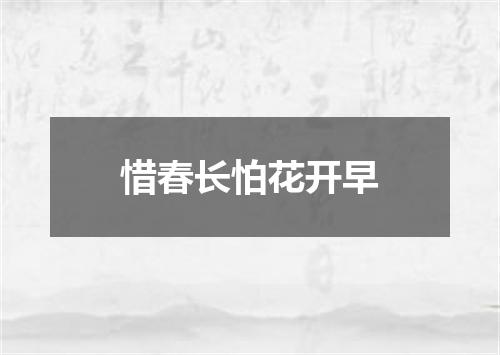 惜春长怕花开早