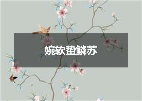 婉软蛰鳞苏