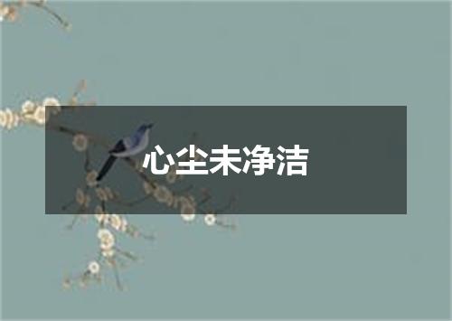 心尘未净洁