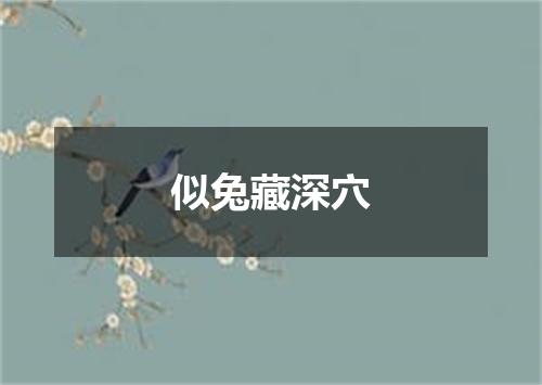 似兔藏深穴