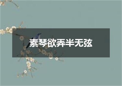 素琴欲弄半无弦