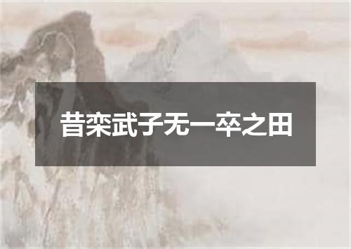 昔栾武子无一卒之田