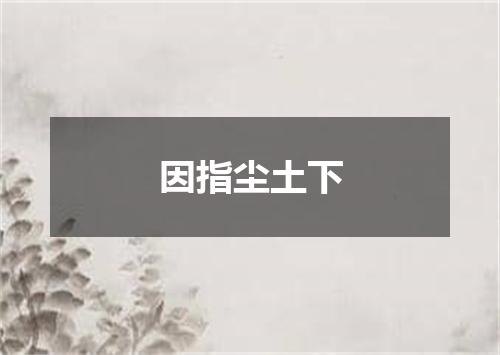 因指尘土下