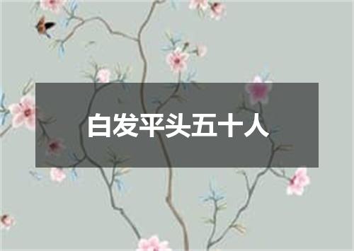 白发平头五十人