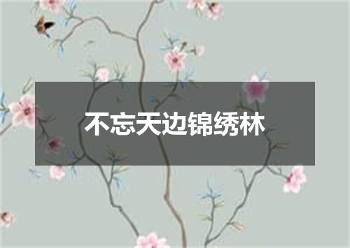 不忘天边锦绣林