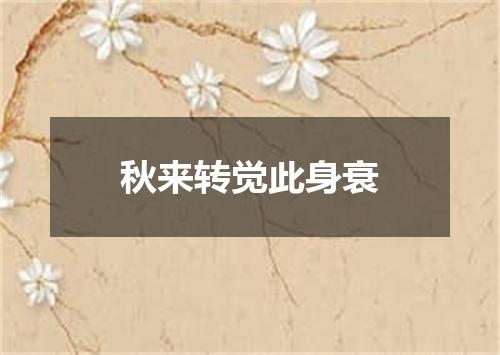 秋来转觉此身衰