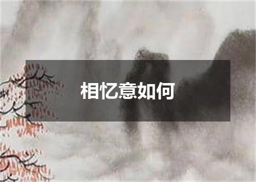 相忆意如何