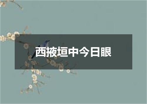 西掖垣中今日眼