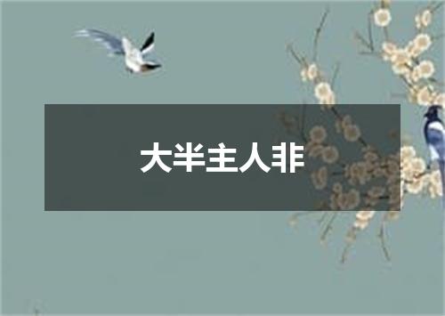 大半主人非