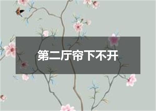 第二厅帘下不开