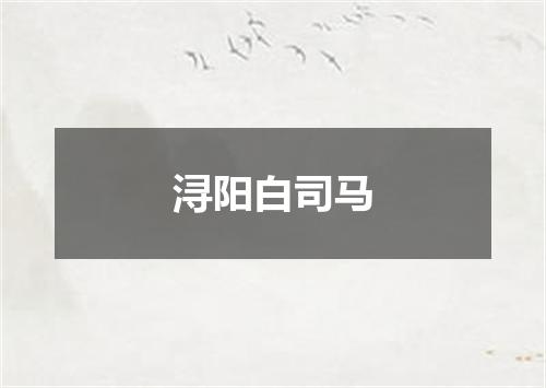 浔阳白司马