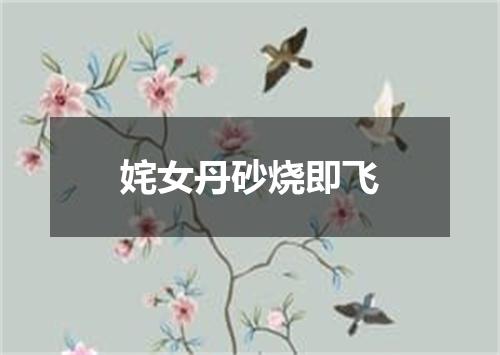 姹女丹砂烧即飞