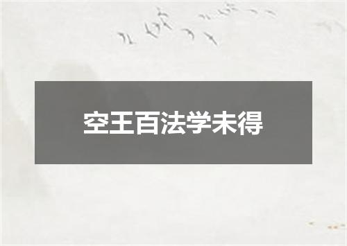 空王百法学未得