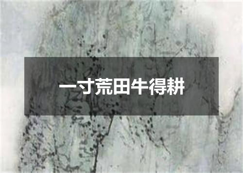 一寸荒田牛得耕