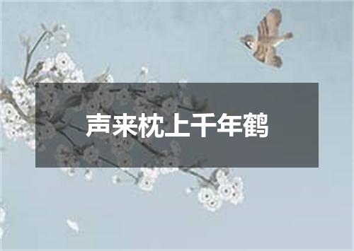 声来枕上千年鹤
