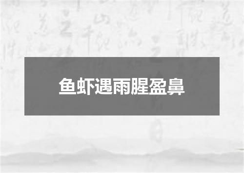 鱼虾遇雨腥盈鼻